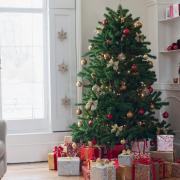 Care for your Christmas tree with these tips. Photo: Getty