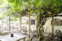 9 of the Best Alfresco Dining Spaces in Islington