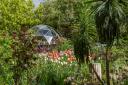 5 of the Best NGS Open Gardens to See in London