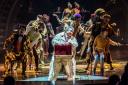 Cirque du Soleil: KURIOUS; Royal Albert Hall