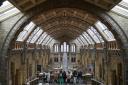 The Natural History Museum is in the running for Museum of the Year