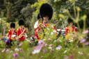 Band of the Scots Guards at the Chelsea Physic Garden, as part of Chelsea History Festival