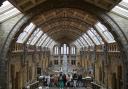 The Natural History Museum is in the running for Museum of the Year