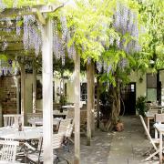 The Albion’s garden is a lush summer oasis in north London