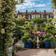 The Palace Gardener in Fulham (photo courtesy of venue)