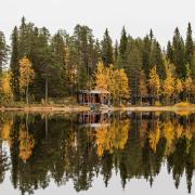 Ruska autumn colours, Levi, Finland