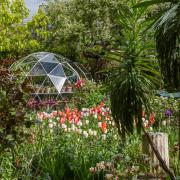 5 of the Best NGS Open Gardens to See in London
