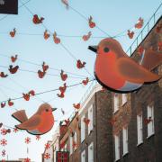 Carnaby sells off Christmas Lights for charity