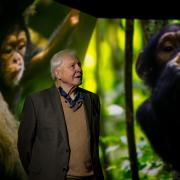 Sir David Attenborough visits the new immersive BBC Earth Experience ahead of it opening to the public. It features footage and music from the Seven Worlds One Planet series with his narration.