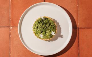 Tendril dish, courgette and feta tart with basil puree